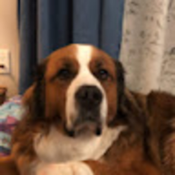 mariebenson630